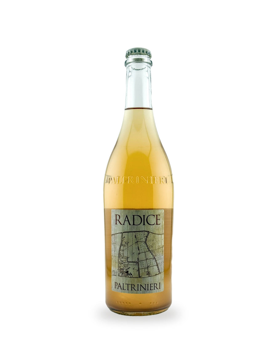Lambrusco Radice — Flasche vor weißem Studio-Hintergrund