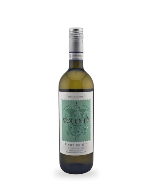 Volunté Pinot Grigio — Flasche vor weißem Studio-Hintergrund