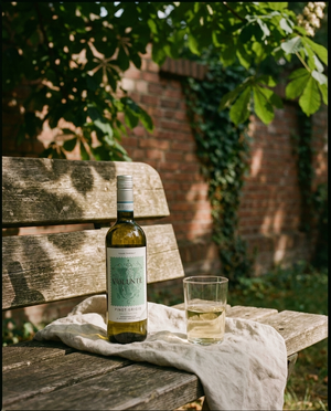 Volunté Pinot Grigio draußen im Berliner Kiez